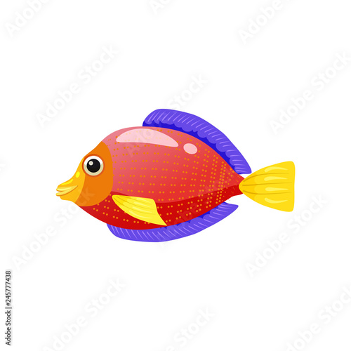 Tropical exotic red Discus fish, bright colorful coloring, vector isolated on white background, cartoon style