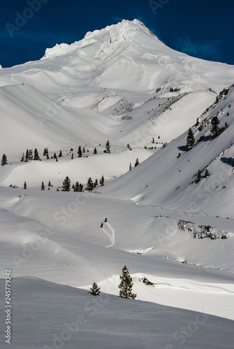 Mt. Hood snow-shoers