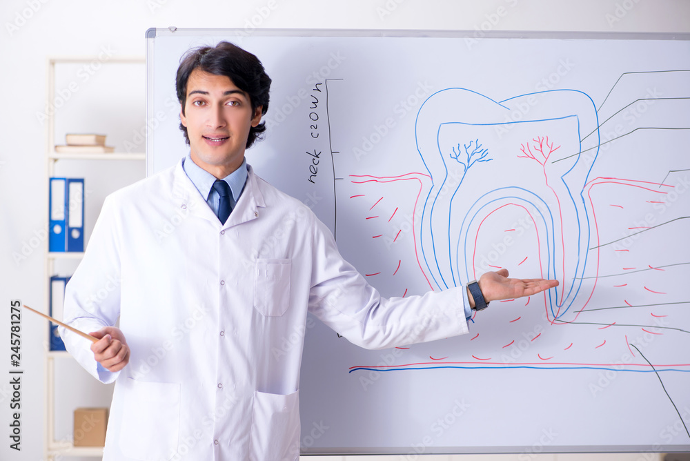 Young handsome dentist in front of the whiteboard Young handsome dentist in front of the whiteboard