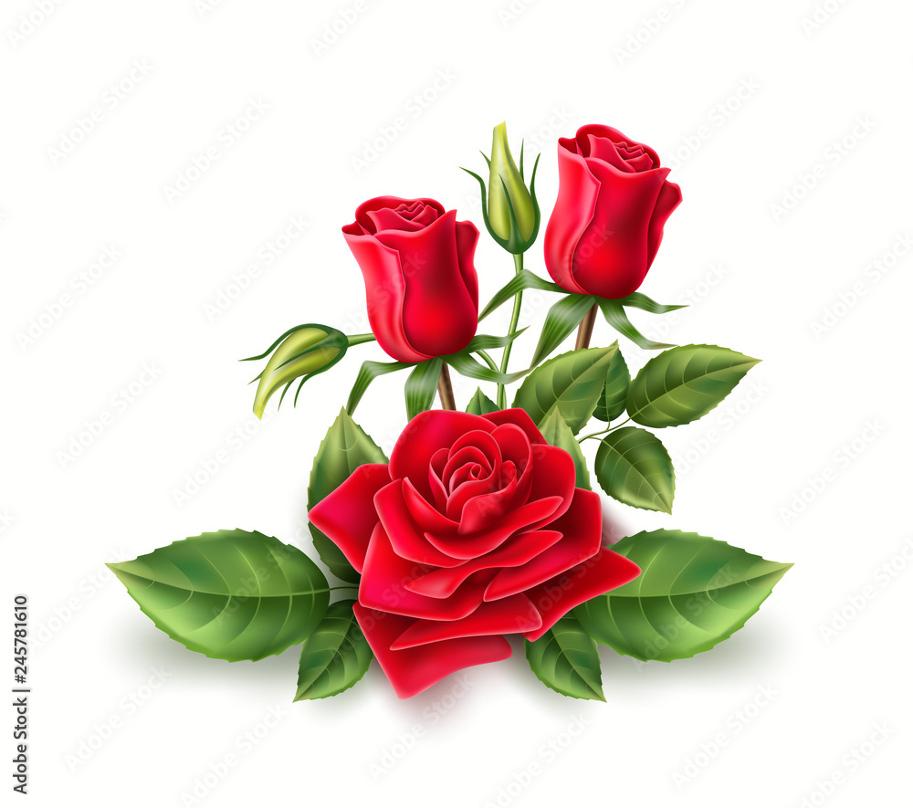 Fototapeta premium Vector 3d realistic red rose elegant bouquet