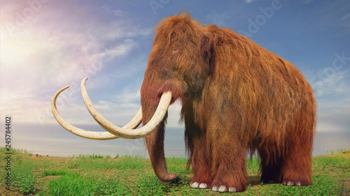 woolly mammoth  prehistoric animal in tundra landscape  3d illustration 