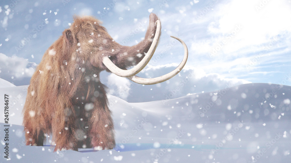 Obraz premium mamut włochaty, prehistoryczny ssak w śnieżnym krajobrazie epoki lodowcowej