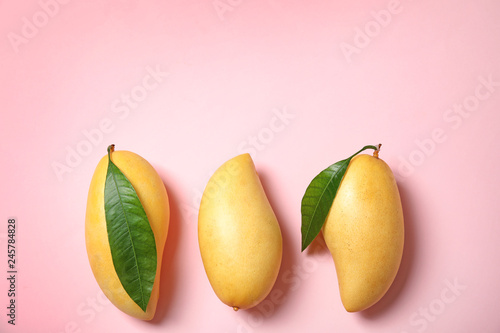 Flat lay composition with mango fruits on color background. Space for text