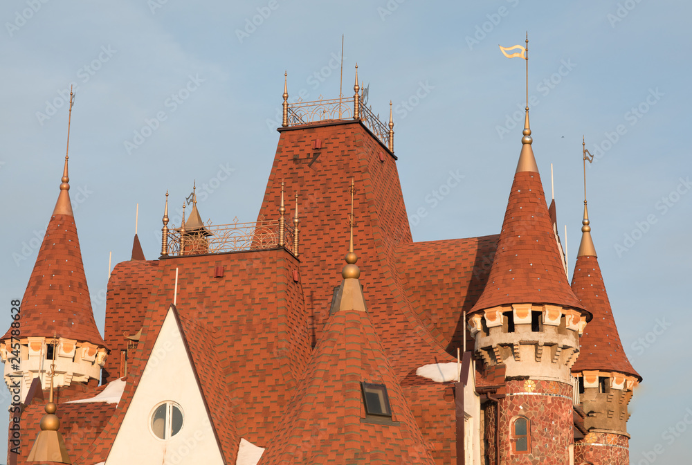 Fototapeta premium vintage castle towers