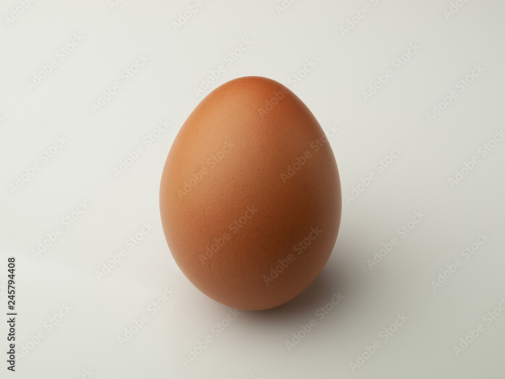 Single egg isolated on white background Single egg isolated on white background