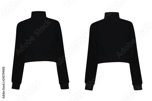 Crop sweater. vector illustration