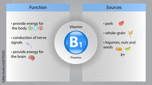 Vitamin B1 vector design. Vitamin B1 function and sources. Thiamine