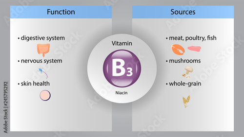 Vitamin B3 vector design. Vitamin B3 function and sources. Niacin