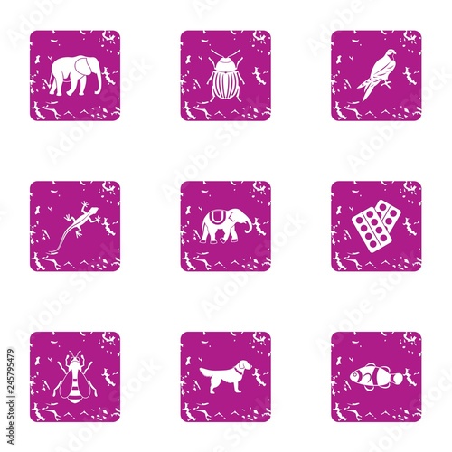 Rarity icons set. Grunge set of 9 rarity vector icons for web isolated on white background