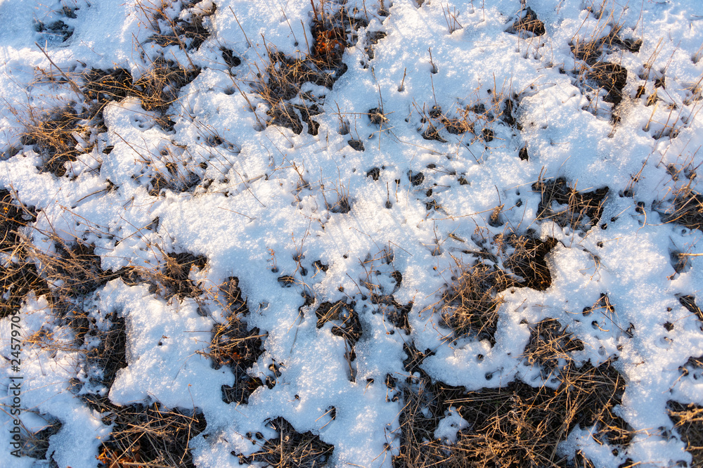 frozen wetland, winter field, a lot of snow fell after a snowstorm, cold weather, dry autumn, tall grass bends under the weight of snowdrifts, natural landscape, background texture frozen wetland, winter field, a lot of snow fell after a snowstorm, cold weather, dry autumn, tall grass bends under the weight of snowdrifts, natural landscape, background texture