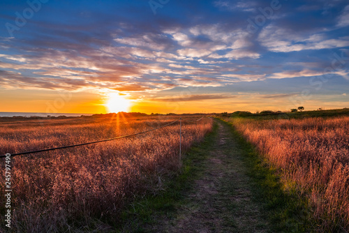 Beautiful sunset over the field with coastline footpath  colorful grassland  and cloudy blue sky with sun rays