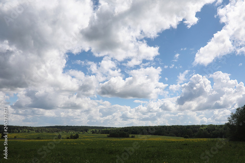 Landscape is summer. Green trees and grass in a countryside landscape. Nature summer day. Leaves on the bushes.