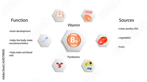 Vitamin B6 vector design. Vitamin B6 function and sources. Pyridoxin
