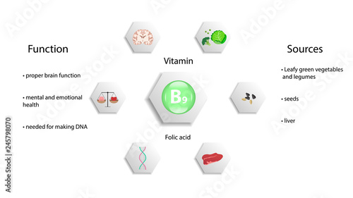 Vitamin B9 vector design. Vitamin B9 function and sources. Folic acid