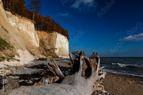 Kreidefelsen, Sassnitz, Insel Ruegen, Mecklenburg-Vorpommern, Deutschland, Baumstamm am Strand photo