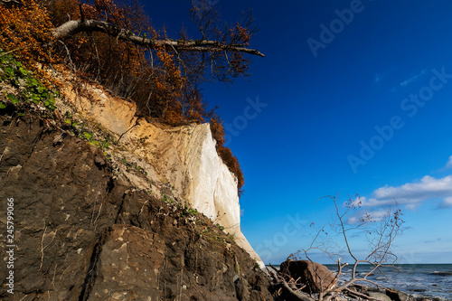 Kreidefelsen, Sassnitz, Insel Ruegen, Mecklenburg-Vorpommern, Deutschland photo