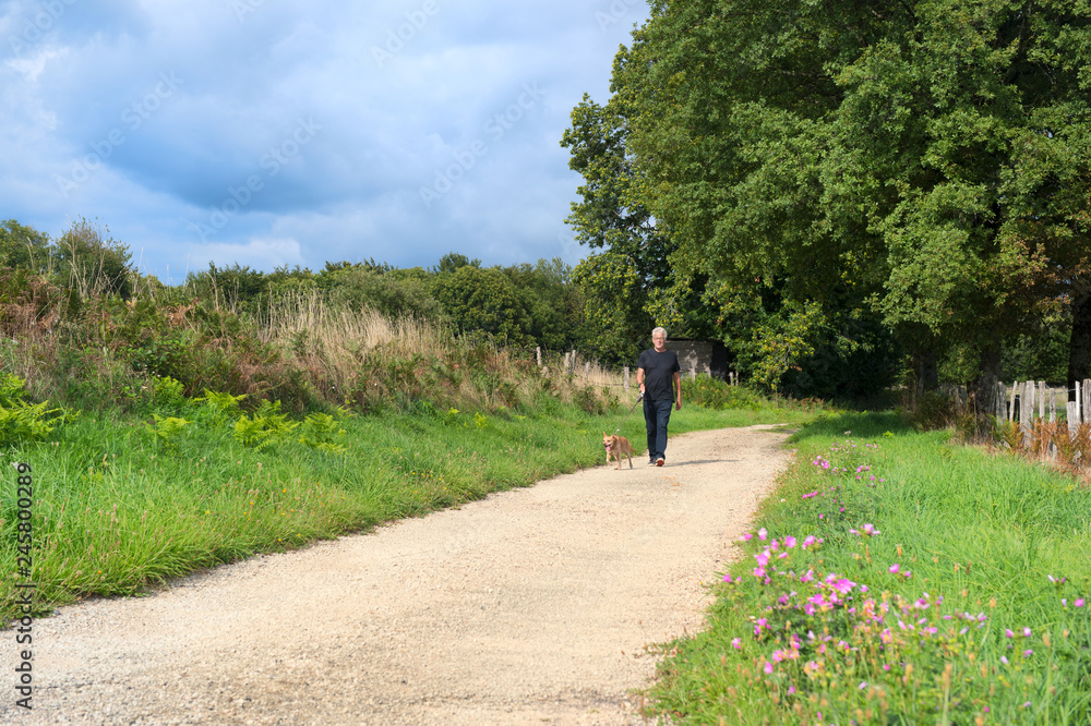 Obraz premium Man walking dog in nature
