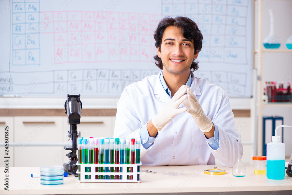 Young chemist working in the lab Young chemist working in the lab