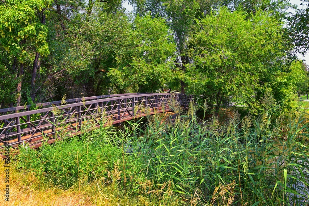 Views of Jordan River Trail Pedestrian and Train Track Bridge with surrounding trees, Russian Olive, cottonwood and muddy stream along the Wasatch Front Rocky Mountains, in Salt Lake City, Utah. Views of Jordan River Trail Pedestrian and Train Track Bridge with surrounding trees, Russian Olive, cottonwood and muddy stream along the Wasatch Front Rocky Mountains, in Salt Lake City, Utah.