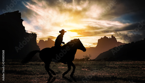 Fototapeta Naklejka Na Ścianę i Meble -  Cowboy on horse at sunset