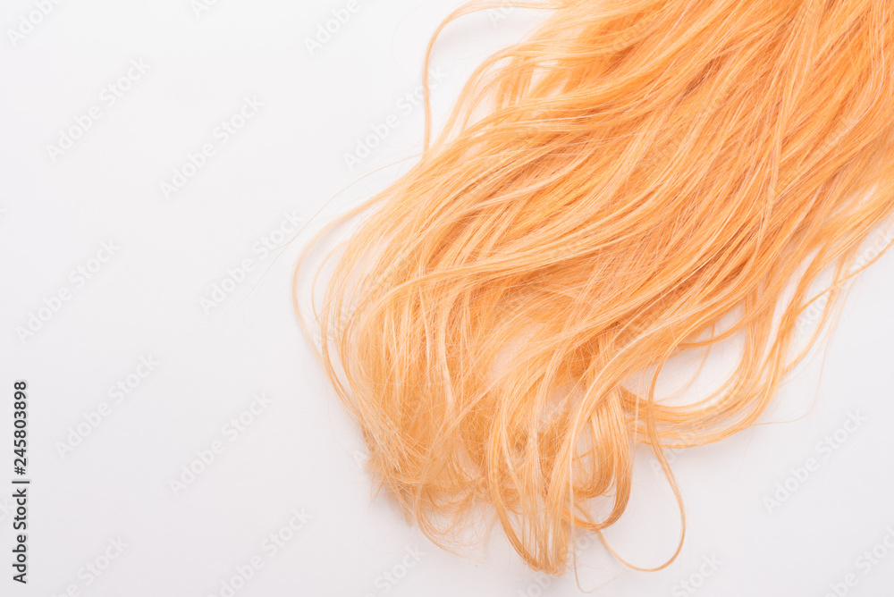 Human, natural honey-colored blond hair on white isolated background. Stylish, fashionable colors this year. Honey blonde shaken, wave and undulating hair. An example of hairstyle.