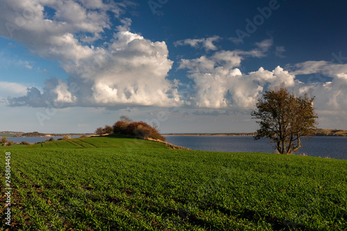 Aussichtspunkt Reddevitzer Hoeft, Insel Ruegen, Mecklenburg-Vorpommern, Deutschland, 01.11.2018  photo