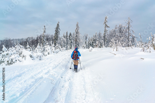 A man in bright sportswear trekking in a winter forest in Silesian Beskids.