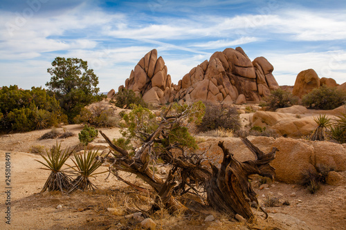 Rock Formation in the desert