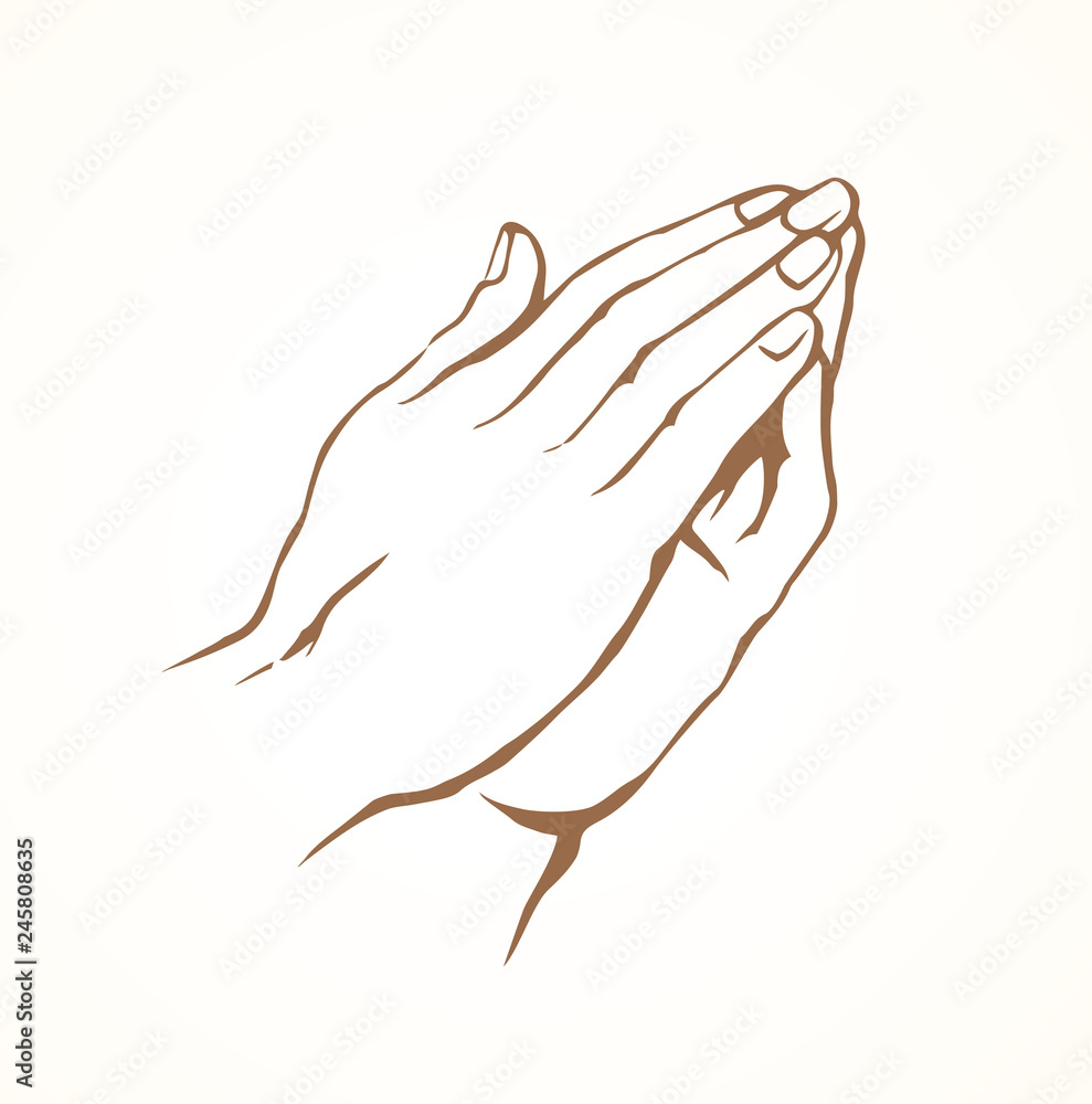 Praying hands Vector drawing Stock Vector Adobe Stock