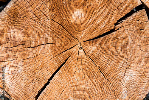wooden cut texture