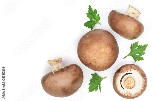 Fresh champignon mushrooms with parsley isolated on white background with copy space for your text. Top view. Flat lay