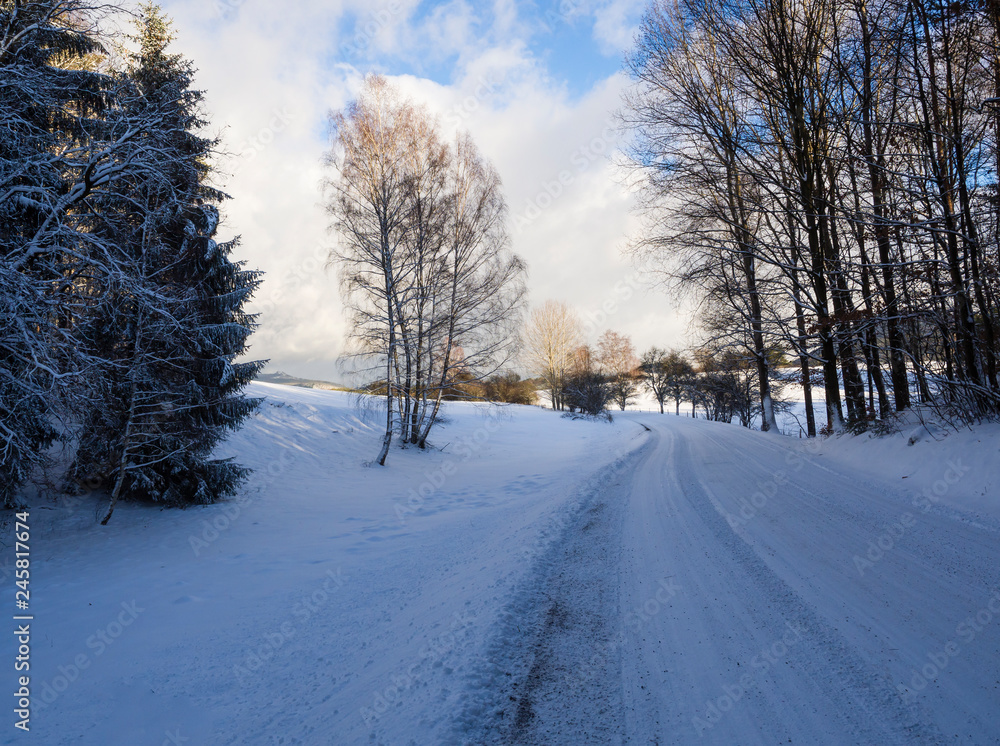 snow covered asphalt road curve in winter forest wit tall tree, sunny day snow covered asphalt road curve in winter forest wit tall tree, sunny day