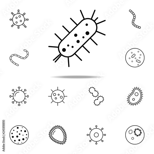 bacterium icon. Bacteria icons universal set for web and mobile