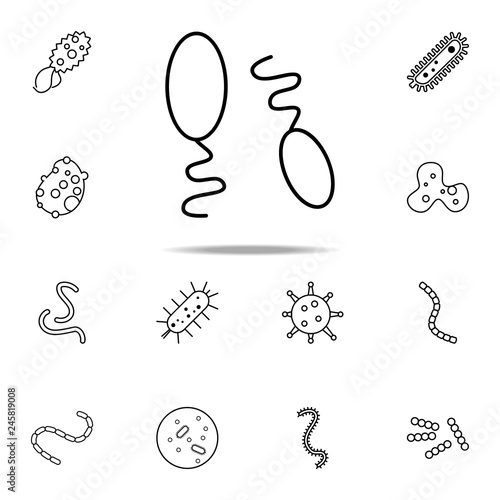 spermatozoons icon. Bacteria icons universal set for web and mobile