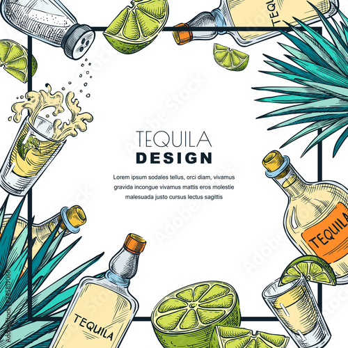 Tequila label design template. Sketch vector illustration. Bar menu white frame background
