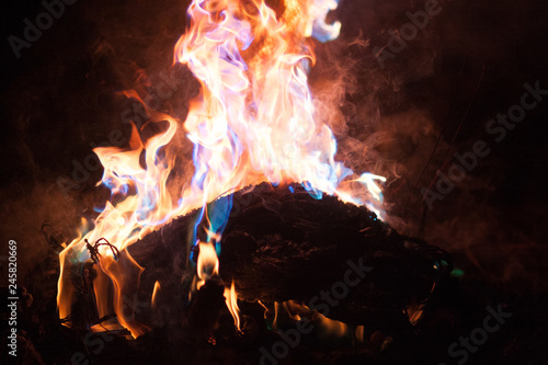 beautiful fire. logs on fire. the