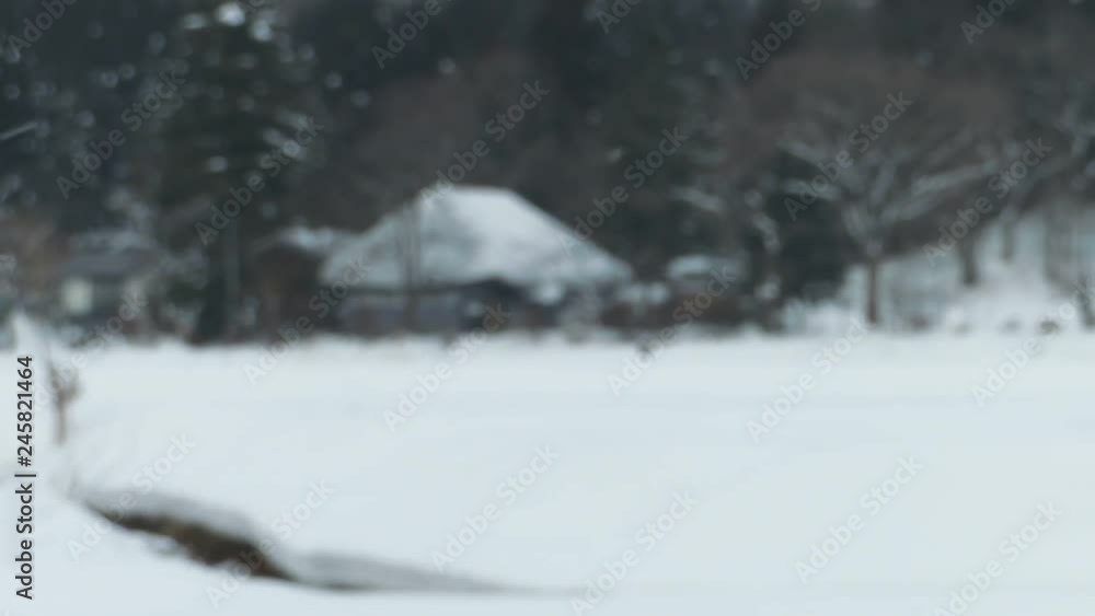 custom made wallpaper toronto digitalかやぶき屋根の古民家　冬　降る雪　田舎の風景　秋田県