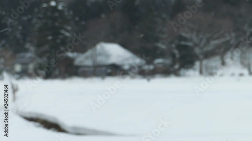 Wallpaper Mural かやぶき屋根の古民家　冬　降る雪　田舎の風景　秋田県 Torontodigital.ca