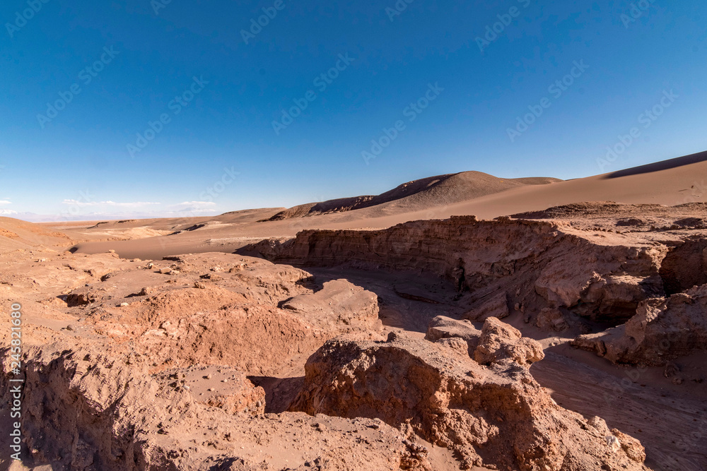 Fototapeta premium Desierto