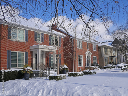 Photography tree lined  residential street in winter