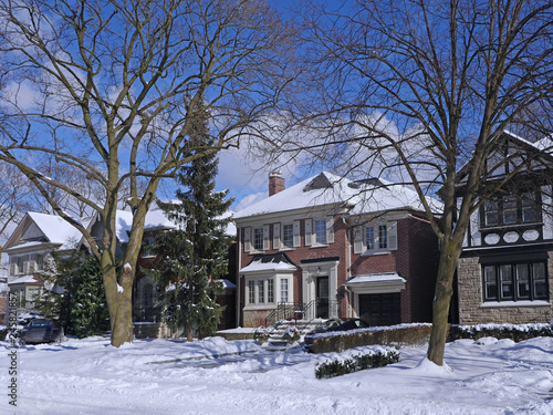 Photography tree lined  residential street in winter