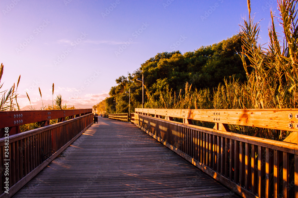 Obraz premium Promenade “Senda Litoral”. Beach and promenade of Marbella.