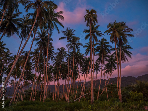 Tropical sunset photo