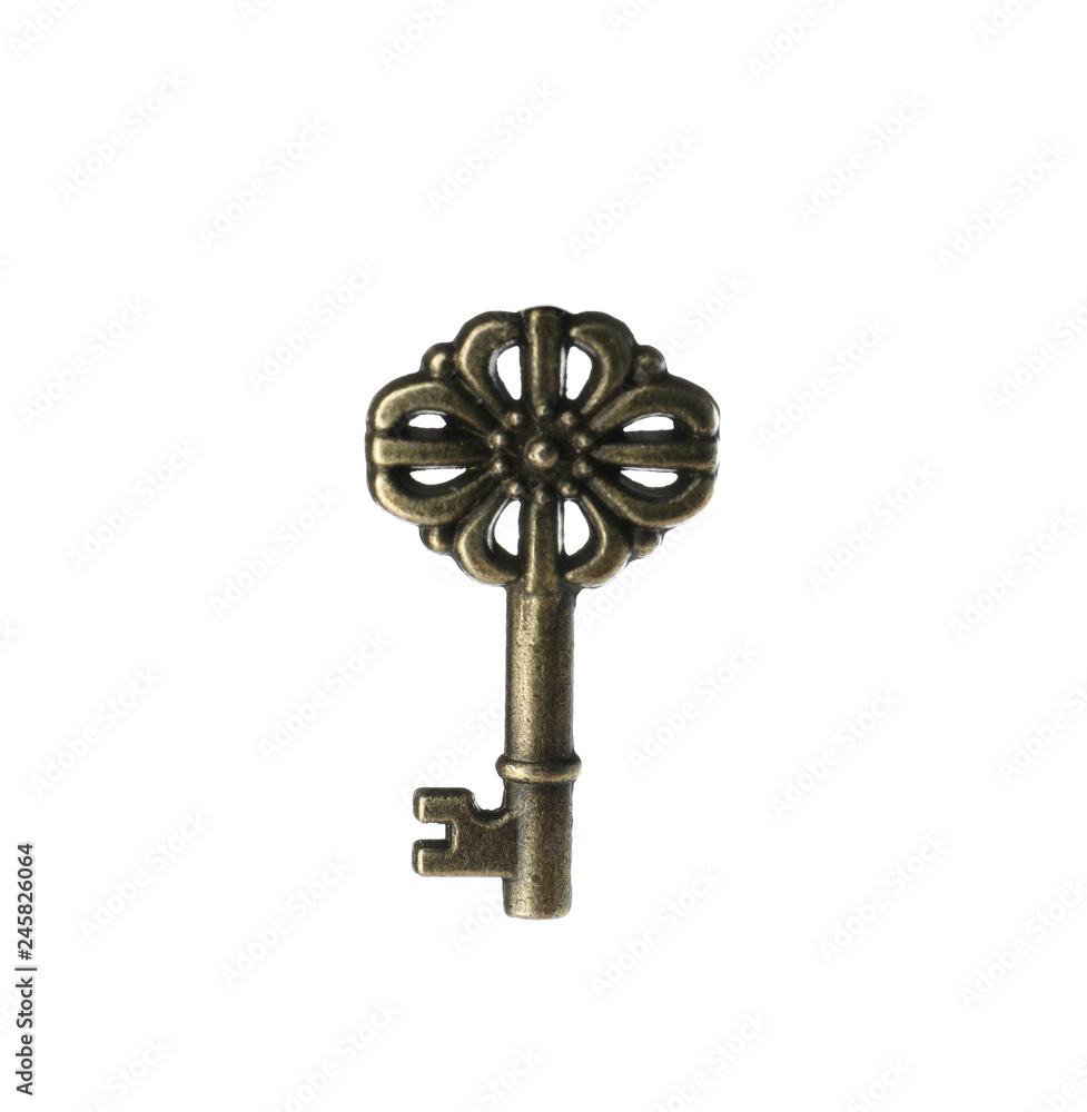 Obraz premium Bronze vintage ornate key on white background