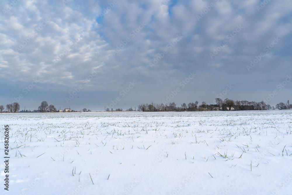 Empty Countryside Landscape in Sunny Winter Day with Snow Covering the Ground, Abstract Background with Deep Look and Dramatic Skies - Concept of Harmony, Peace and Traveling