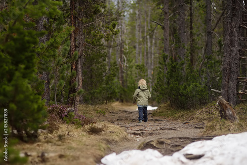 Cute little boy walks in Swiss national Park on spring.