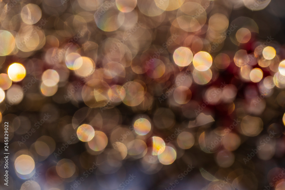 The light of the sun plays on the branches in winter. Light swirly bokeh. Background of multi-colored circles. The light of the sun plays on the branches in winter. Light swirly bokeh. Background of multi-colored circles.