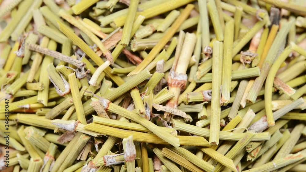 Chinese herb medicine of Ephedrae Herba or Chinese Ephedrs Herb Chinese herb medicine of Ephedrae Herba or Chinese Ephedrs Herb