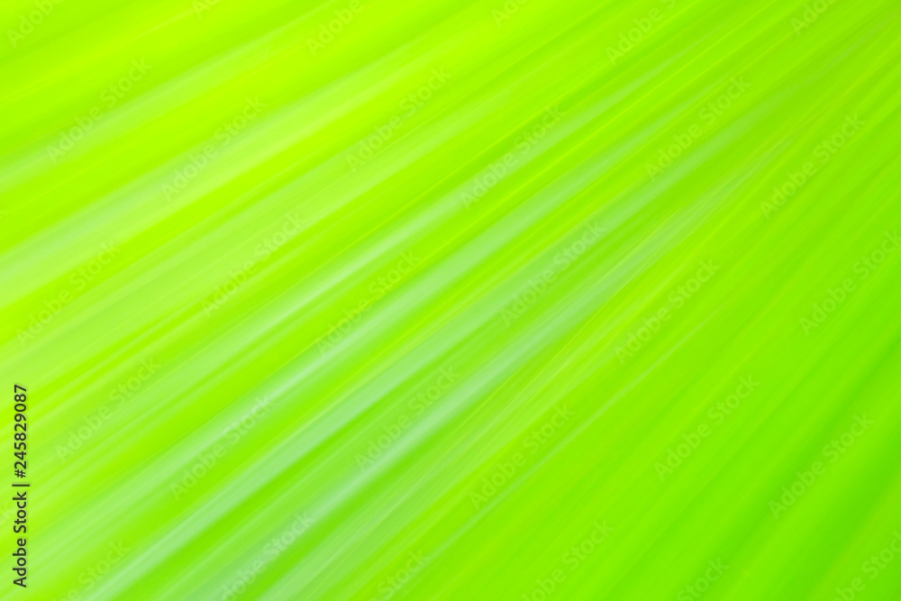 Obraz premium Close-up and long exposure effect of green fan palm leaf on blurred motion under sunlight in the morning, abstract of greenery nature background, for use wallpaper and backdrop on eco green concept.