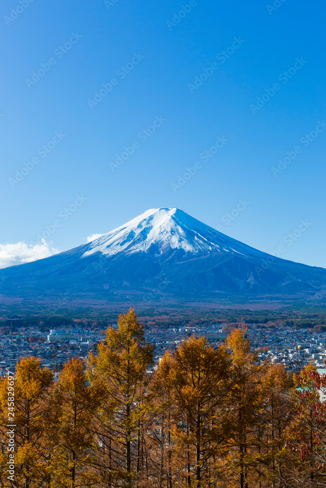 富士山 富士山
